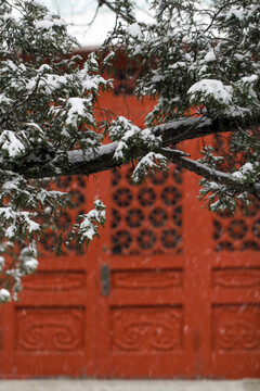 冬天校园美丽的雪景