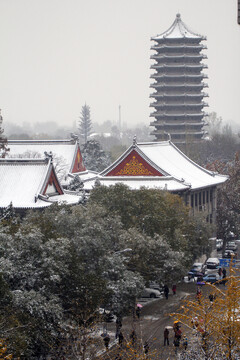 北京大学校园雪景