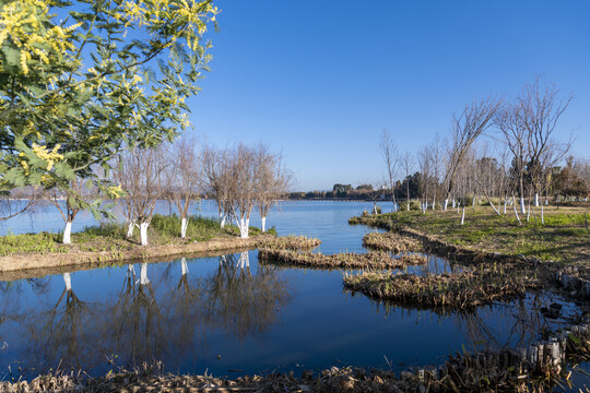 滇池湿地