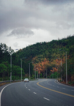 秋天郊区公路景观