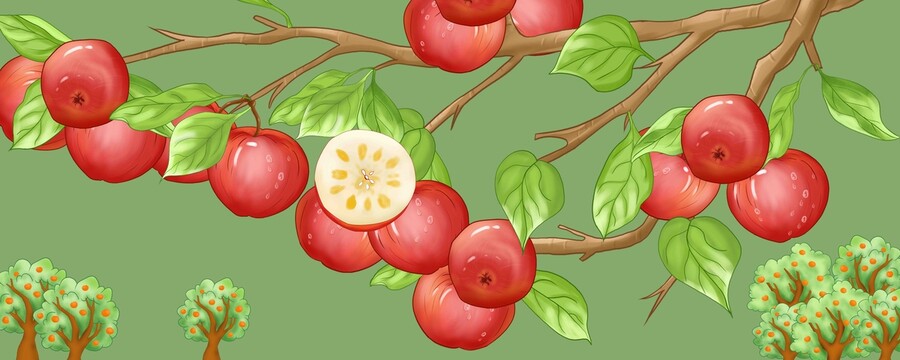 红富士苹果插画