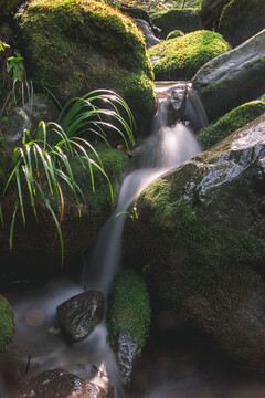 山间流水