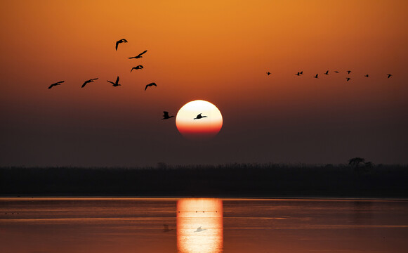 鄱阳湖夕照