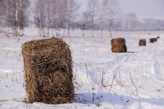 冬季雪地上的草垛