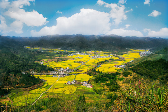 黟县柯村风光