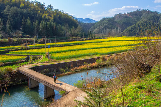 黟县柯村风光