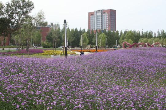 大庆百花园