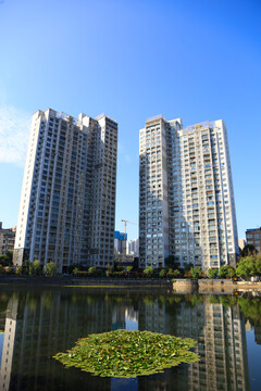 武汉莲花湖公园