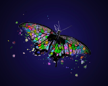 晶格化蝴蝶艺术感满满背景图