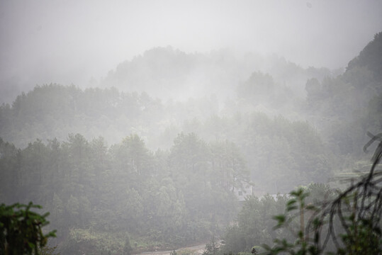 山林迷雾自然风光