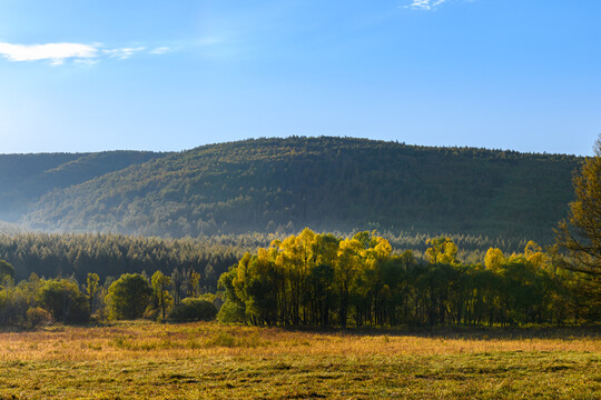 内蒙古阿尔山国家森林公园秋色