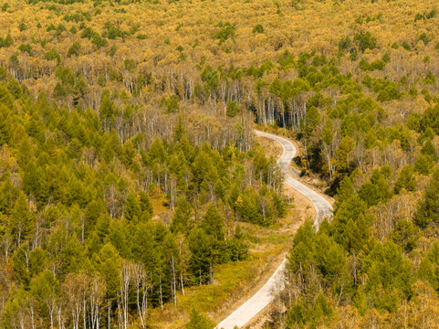 内蒙古阿尔山国家森林公园秋色