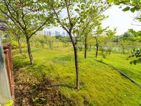 市五象湖公园绿地植被自动喷淋