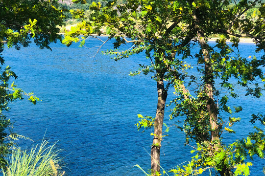 夏日湖泊