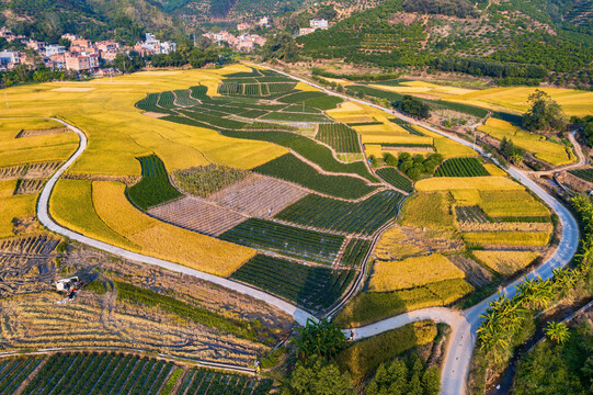 秋天的田野