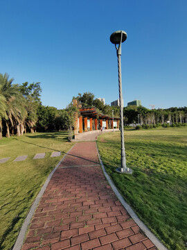 公园风景