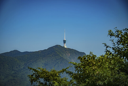 远眺梧桐山