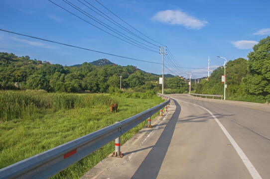 泉州乡间公路