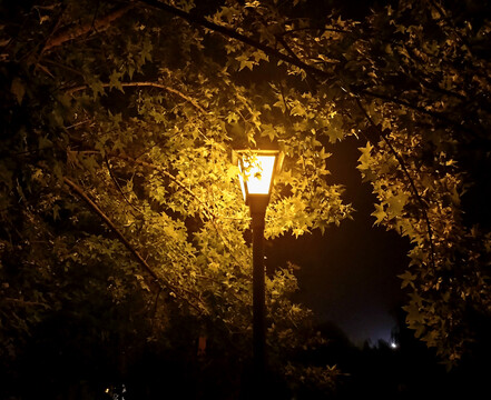 周原广场的夜晚路灯
