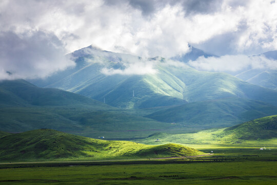 高山草原青海果洛