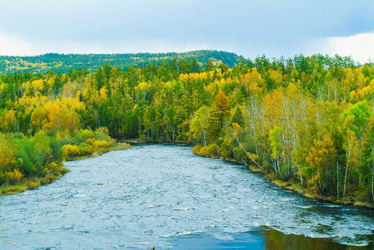 秋季河流多彩森林