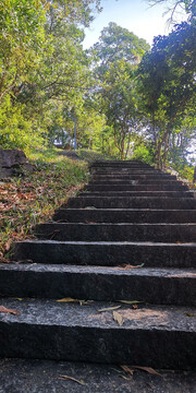 淘金山石板路