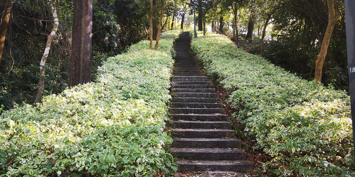 直通山顶的石板路