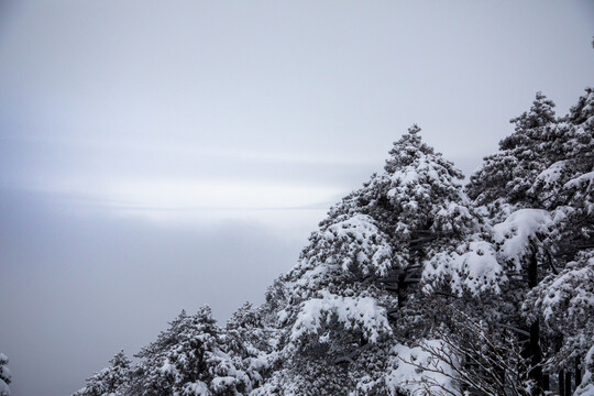 黄山光明顶雪景