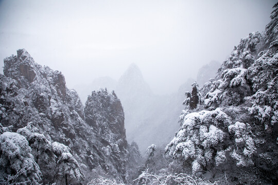 冬季黄山妙笔生花