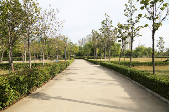园林步道