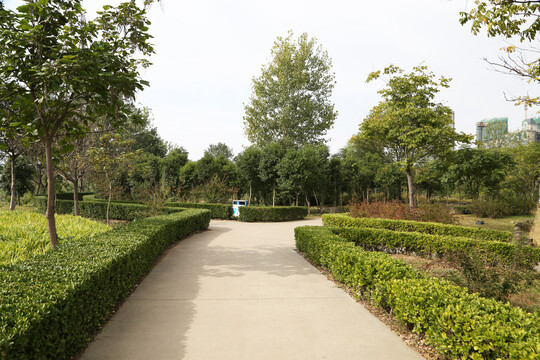 园林步道