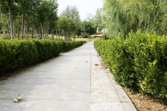 园林步道