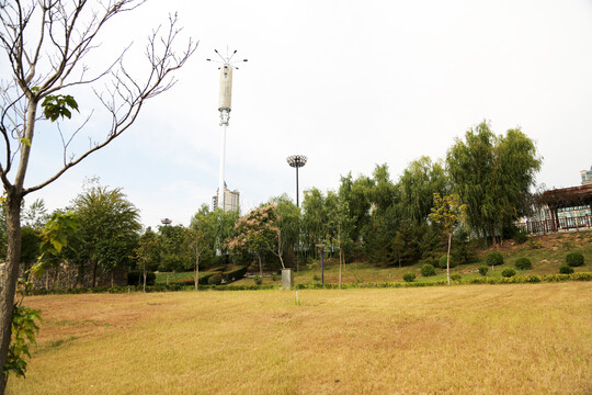 园林景观草地