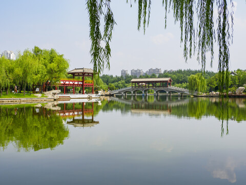 德州董子园风景区