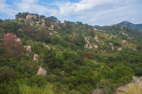 丘陵山坡