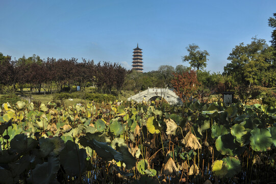 扬州园林风景