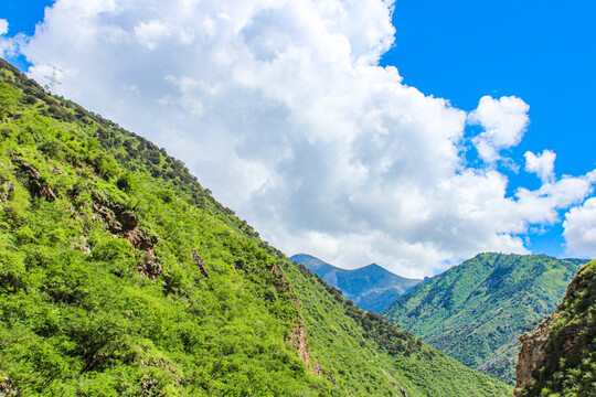 高尔寺山