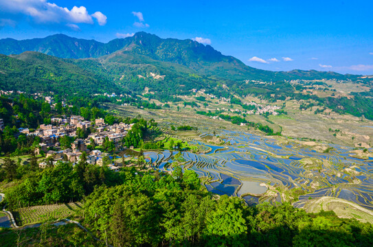 红河哈尼梯田