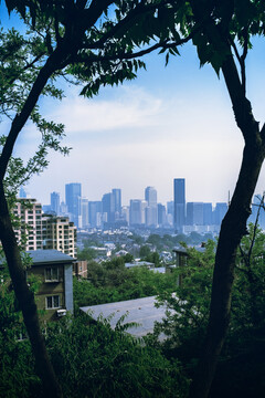 大连城市建筑