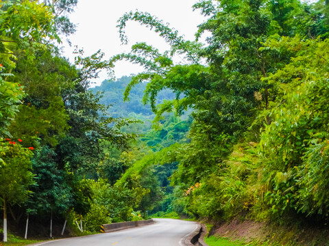 山区公路