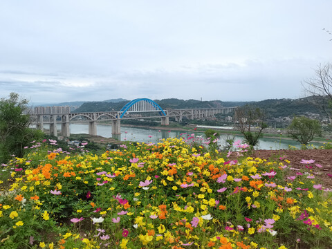 桥花卉城市风景
