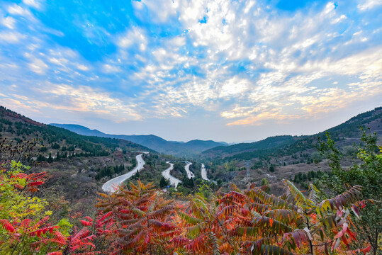 山东青州牛角岭