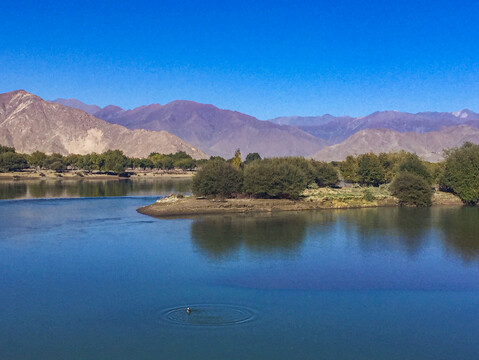 西藏拉萨河湿地