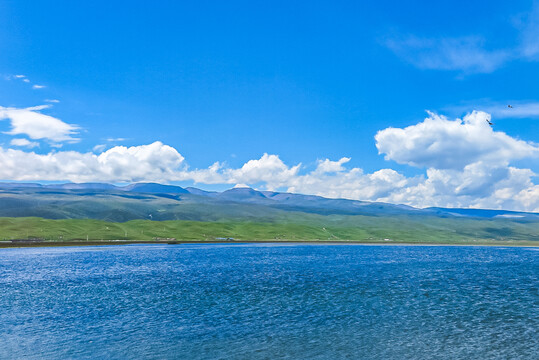 青海湖
