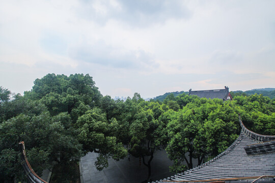 杭州风景