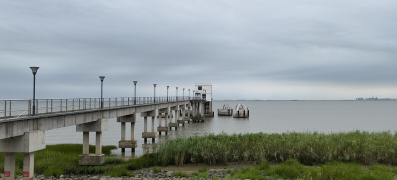 崇明岛海岸