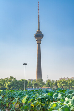 北京中央电视塔风景