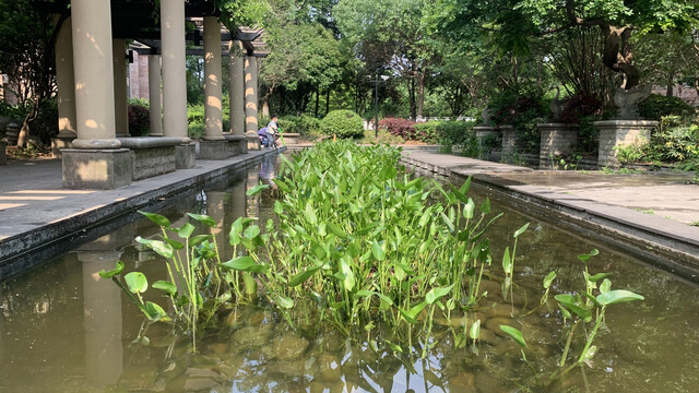 小区水景