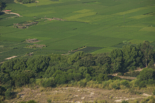 绿色的田野田园风景