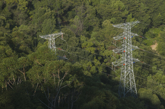森林里的高压电力铁塔